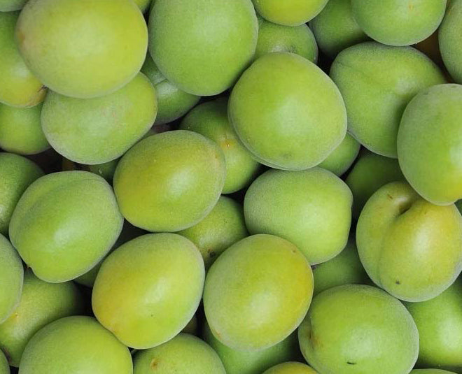 Beautiful green Kakadu Plums